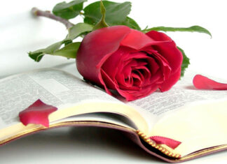 Что подарить на День Учителя: 8 идей для родительского комитета подарок на день учителя