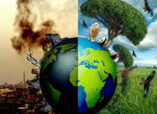 Сценарий детского экологического праздника (2-3 классы): «Волшебная книга библиотекаря Флоса или Спасение планеты Новус» бесплатный сценарий экологического квеста