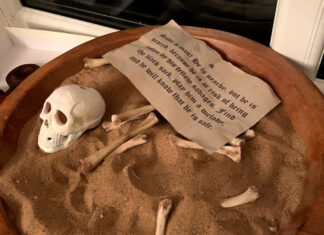 «Загадки Робинзона»: сценарий квеста для детского дня рождения (7-11 лет) бесплатный сценарий квеста робинзон