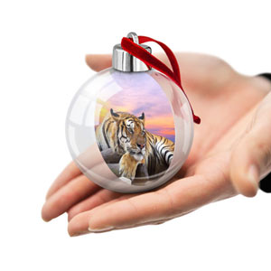 Новогодний сценарий с Тигром на 2022 год для всей семьи: подарки, игры и веселье