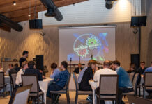 Интеллектуальные игры для взрослой компании: перечень популярных программ