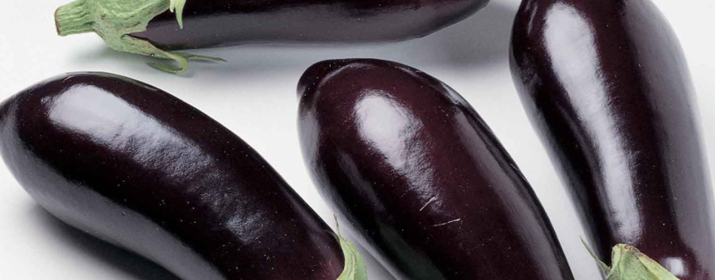 Баклажаны вкусно и быстро: закуска из баклажанов с фото!
